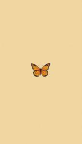 Orange Butterfly Aesthetic Wallpaper Butterfly Wallpaper Iphone Iphone Wallpaper Yellow Butterfly Wallpaper