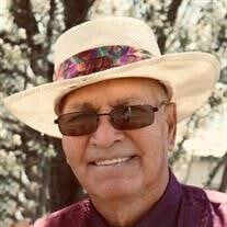 David Eugene Spring Obituary