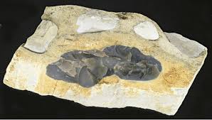 Silex Mineral Information Data And Localities