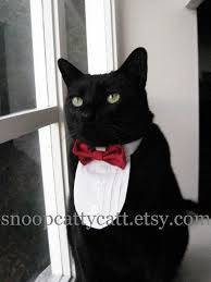 Pin On Adorable Animals