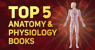 Gross anatomy of the major lymphatics specially thoracic duct and its tributaries. Best Top 5 Anatomy And Physiology Books For Medical Students Med Brain Media