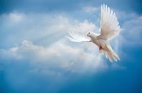 Image result for images Fellowship With The Holy Spirit