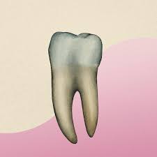 How to get rid of holes in teeth. How To Get Rid Of Cavities Without Fillings Is It Possible Self