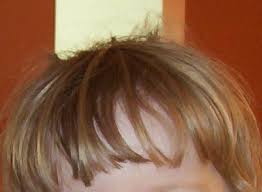 The quintessential short asian hairstyle is having blunt bangs along with a bob. Bangs Hair Wikipedia