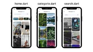 Build A Wallpaper App With Flutter By Sanskar Tiwari Flutter Community Medium