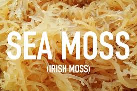 Sebi recommended against buying the pool grown sea moos, which is grown in brine water. 5 Top Health Benefits Of Consuming Irish Sea Moss South Florida Reporter
