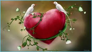 We did not find results for: Love Birds Wallpapers Top Free Love Birds Backgrounds 3d Love Birds Wallpapers Neat