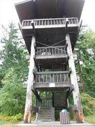 Sehome Hill Arboretum Observation Tower Bellingham Wa Image Woodland House House On Stilts Lookout Tower