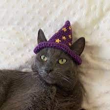 Purple Wizard Cat Hat Wizard Hat For Cat Wizard Hat For Cats Costume For Cats Hats For Cats Halloween Cat Costume Cat Accessories In 2021 Hat For Cat Wizard Cat Hats
