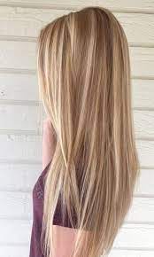 Blonde Highlights Long Hair Beard Champagne Blonde Hair Brown Blonde Hair
