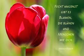 Gluckwunsche Zum Geburtstag Mama Design