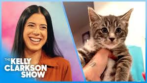‪Kelly Clarkson Surprises Woman Rescuing Thousands Of Stray Cats - YouTube‬‏