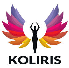 Image result for Gris Fulminator 2011 Citroen