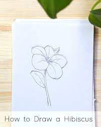 Going down from the petals add the stem. How To Draw Flowers Step By Step Tutorials For Beginners Jeyram Art