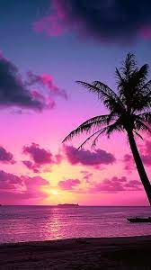 Download the perfect palm trees sunset pictures. Page 7 Hd Palm At Sunset Wallpapers Peakpx