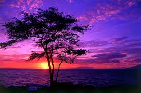 22 Amazing Nature Pics That Will Make You Stop And Stare | Beautiful  landscapes, Beautiful nature, Sunset wallpaper