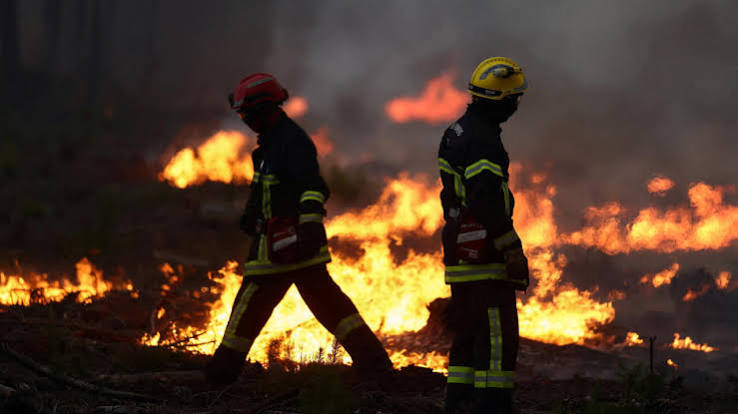 Burdeos, bajo amenaza mientras Francia y España combaten incendios forestales "sin precedentes" - France 24