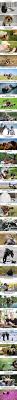 26 Reasons Why Being A Nature Photographer Is The Best Job In The World New Photography Life Amazing Nature Photos Nature Photography Nature Photographs