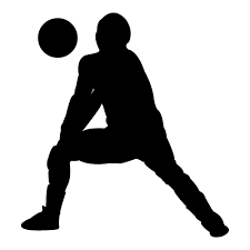 Veja mais ideias sobre vôlei masculino, volei, masculino. Png Volei Transparent Images Free Png Images Vector Psd Clipart Templates