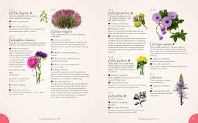 Language of flowers book kate greenaway. The Complete Language Of Flowers A Definitive And Illustrated History