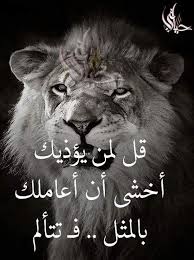 Pin By N K On روائع الحكم Arabic Love Quotes Love Quotes Life Quotes