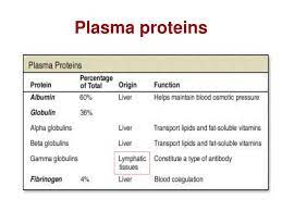 Significance of proteinuria depends on total protein excretion rather than protein concentration estimated by dipstick; Ppt Estimation Of Serum Total Protein Powerpoint Presentation Free Download Id 7061655