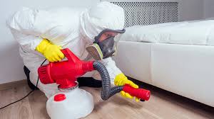 Battling Bed Bugs: Unveiling the Most Effective Treatment Methods