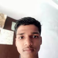 Vivek Ray