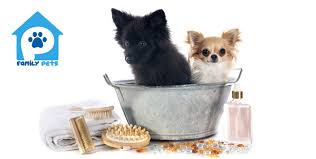 Let shopping and save up to 10$ off off. Pet Deals In Dubai Cobone