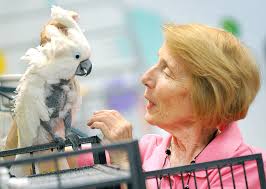 Bird shelter offers safe haven for winged friends