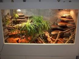 How Could I Make A Hide Like This Reptile Zoo Lizard Tank Reptile Terrarium