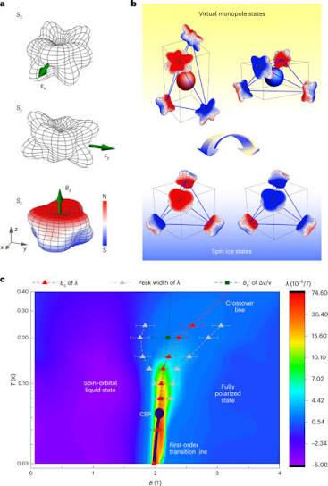 Spin–orbital liquid state and liquid–gas metamagnetic transition on a pyrochlore lattice | Nature Physics