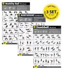 Home Gym Exercise Poster 3 Pack Laminated Build Strength