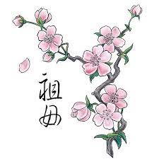 Pin On Cherry Blossoms