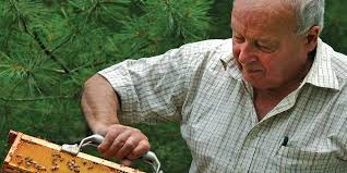 Beekeeping is a lifelong avocation for Paul Prue of Dennis