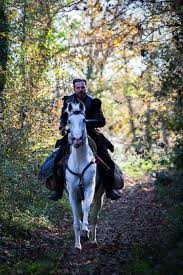 En Iyi Dirilis Ertugrul Duvar Kagitlari Indirabi Com Best Dramas Turkish Actors Horses