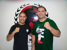 His list of accolades is long and he has done a lot for the sport. Cain Velasquez S Jiu Jitsu For Brock Lesnar Graciemag