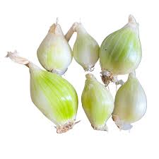 Image result for shallots