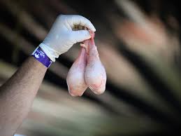 Scrotox results typically last about three to four months. Mma Fighter Goes Nuts Bites Testicles In Nashville Mmamania Com