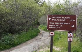 We did not find results for: Andrew Molera State Park Big Sur Ca California Beaches