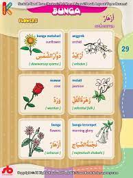 Kamus Bergambar Anak Muslim Nama Nama Bunga Bahasa Indonesia Inggris Arab Bahasa Kartu Flash Buku