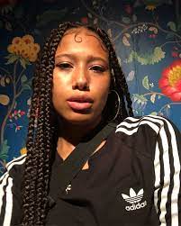 From Straight Hair To Box Braids The Afro Latina Interloper Un Ruly Baddie Hairstyles Inverted French Braid Natural Hair Braids