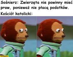 Dlaczego część wolnościowców nie głosuje na konfederację? Dobromir Sosnierz Memy Paczaizm Pl Memy Polityczne Smieszne Obrazki Dowcipy Gify I Cytaty