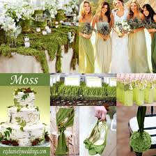 Pin By I Do Island Weddings On Details Details Details For Weddings Moss Green Wedding Green Wedding Colors Wedding Colors