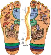 31 Printable Foot Reflexology Charts Maps Template Lab