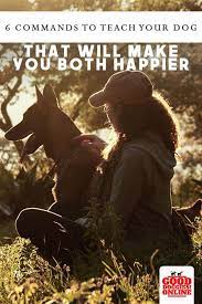 6 Basic Commands To Teach Your Dog That Will Make You Both Happier Dog Training Dog Training Obedience Dogs