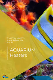 Fish Tank Heater How To Use Them And Must Know Fish Tank World Aquarium Heater Fish Tank Aquarium Fish Tank