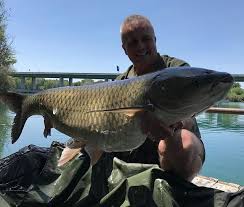 Aqvatika lake opened his door to the public on the 1st september of 2016. Bridges Lake In Italy Has Some Absolutely Massive Grass Carp In It Contact Us For More Info On How To Book This Fantastic Venue Carp Carpfishing Fishing A