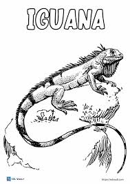 When we think of october holidays, most of us think of halloween. 11 Realistic Lizard Coloring Pages Esl Vault