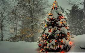 100 Cool Hd Christmas Wallpapers For Free Download Wallpaper Holiday Snowy Christmas Tree Christmas Tree Outside Christmas Tree Wallpaper